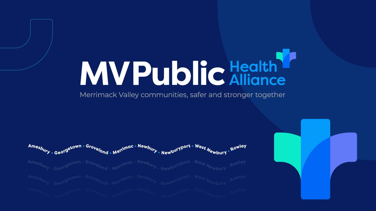 Logo and Branding for MVPublic