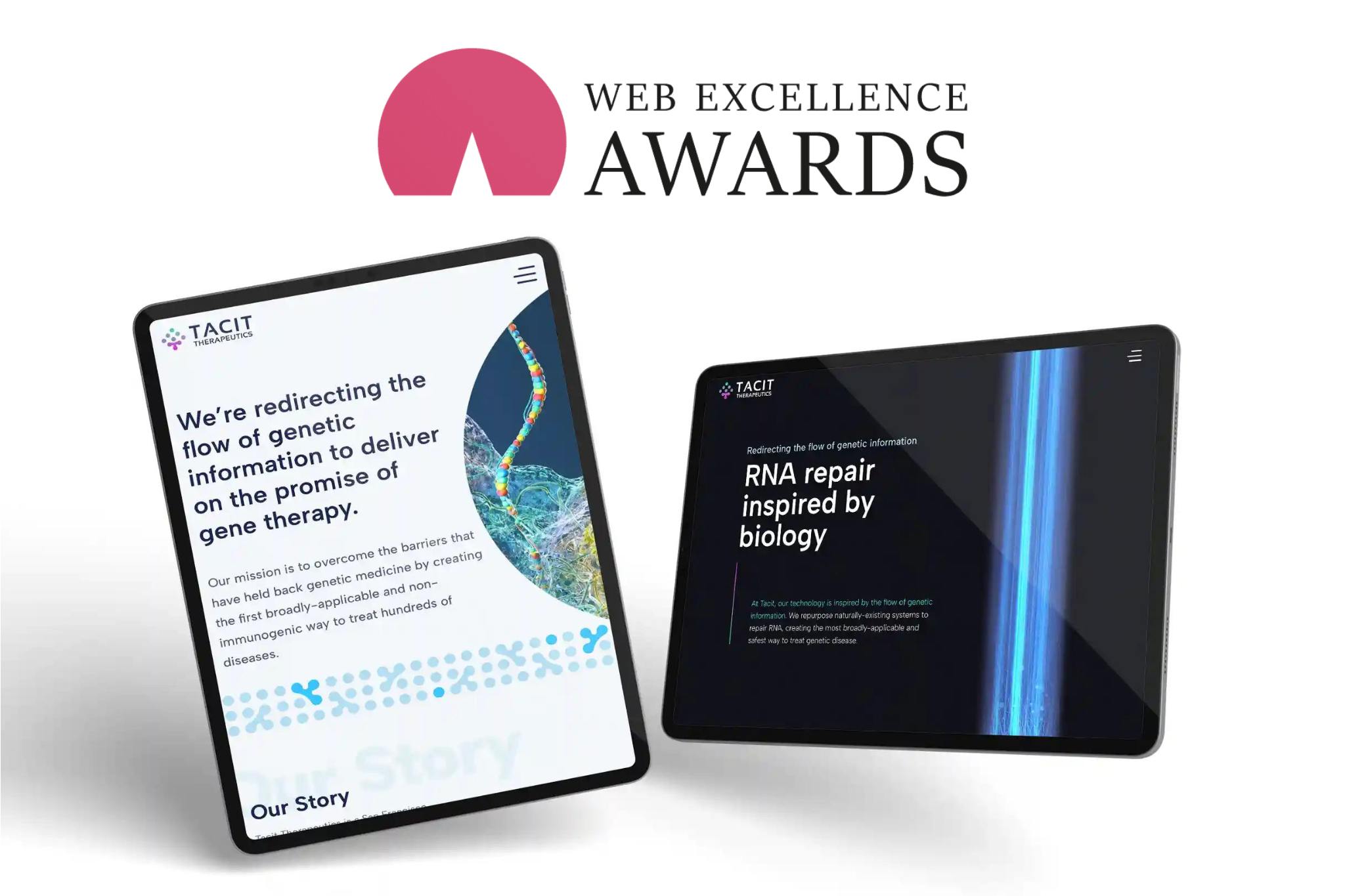 Tacit Web Excellence Award portfolio image.