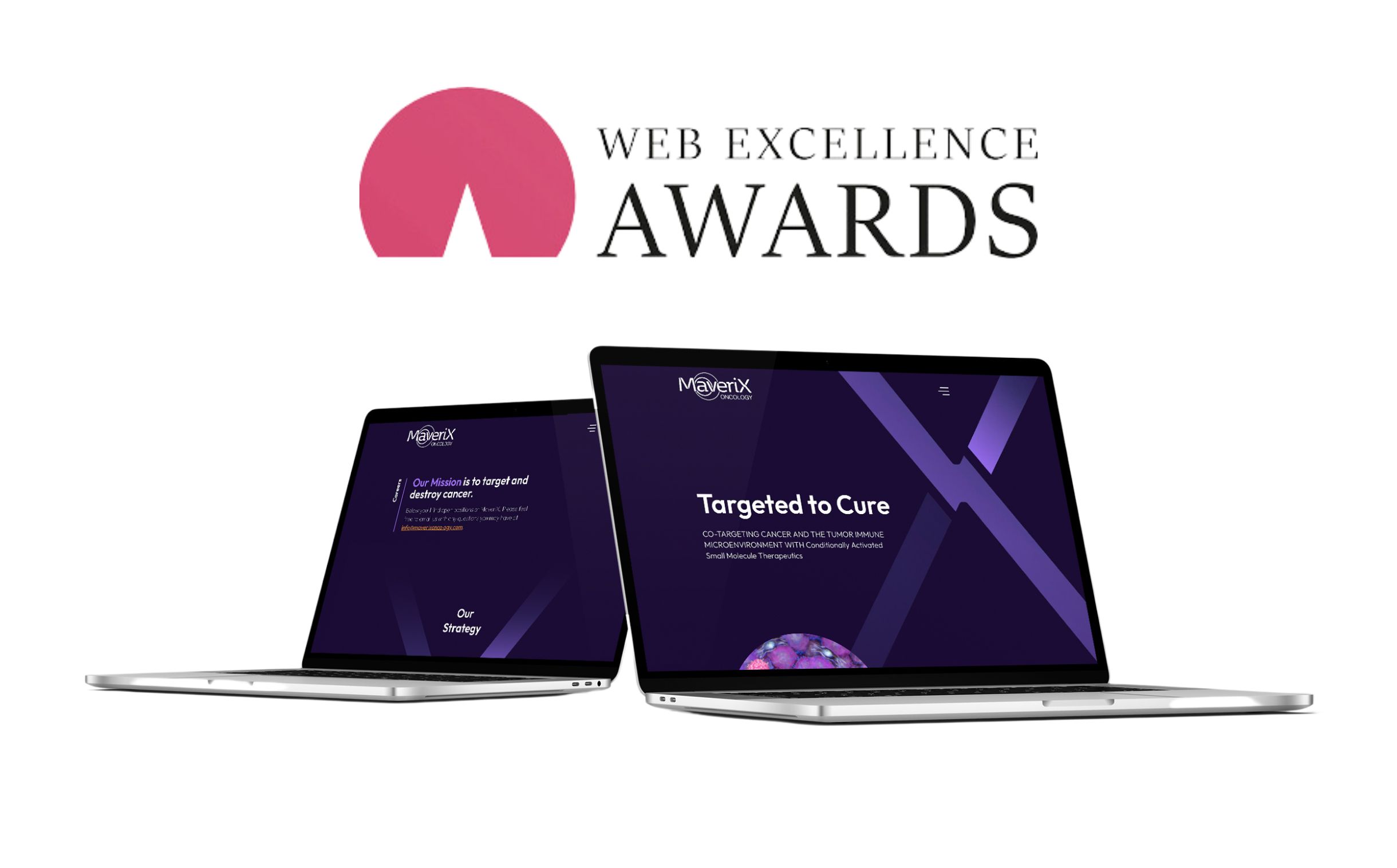 MaveriX Oncology Web Excellence Award portfolio image.