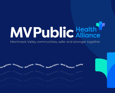 Logo and Branding for MVPublic